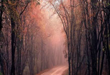 九游游戏-伯纳乌奇迹夜！技术解剖皇马逆转基因：3大数据引爆足球宇宙