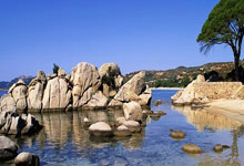 九游娱乐首页-当绿衫军闯入亚平宁：凯尔特人足球场上的奇幻漂流