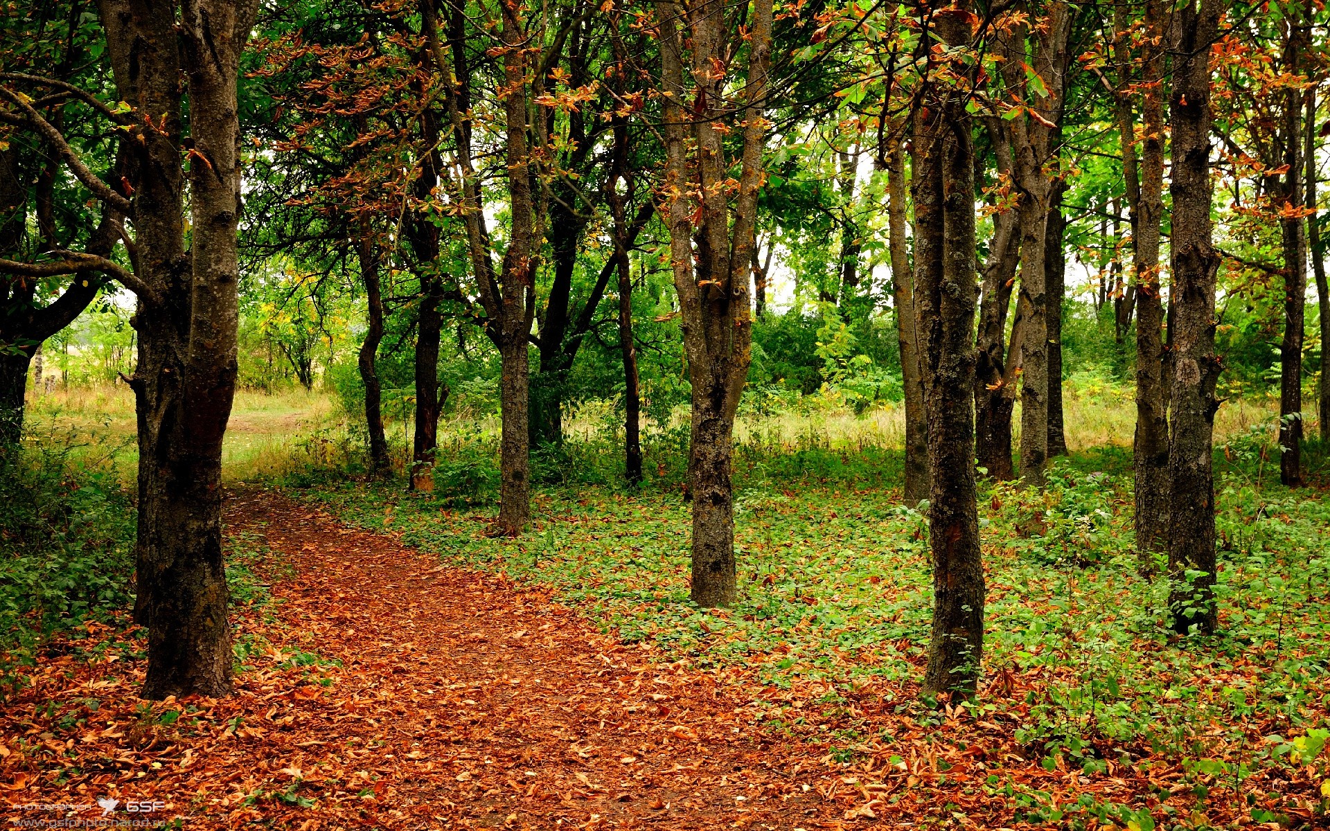 北京队防守锁死马刺，库里成为关键先生